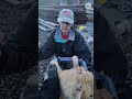 Rescued cat fights to survive after train accident. See the rescue.