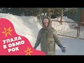 Упала в обморок от малыша! Кошка в детской коляске! Хочет в Сочи! Влог