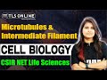 Cytoskeleton - Microtubules & Intermediate Filament | Unit-2B | CSIR NET Dec'24 | Shruti Shukla