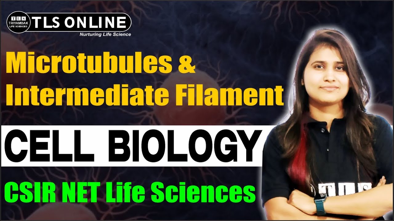 Microtubules & Intermediate Filament | Cell Biology | CSIR NET Life Sciences 2025 |