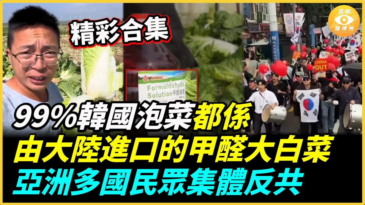【精彩合集】韓國人嬲爆！99%的韓國泡菜，都係從中國大陸入口的甲醛致癌大白菜！ 縮圖