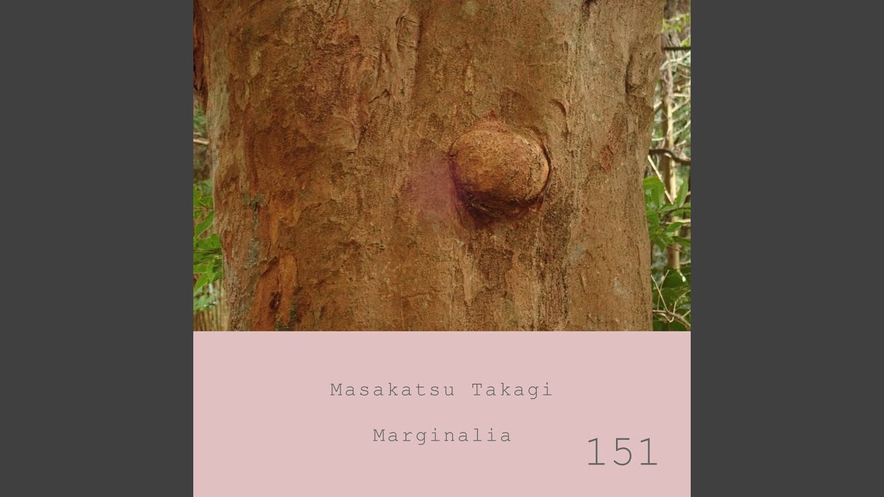 Watch Marginalia #151 on YouTube Watch Marginalia #151 on YouTube