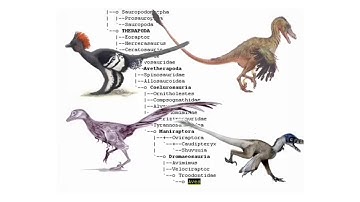Bite Sized: Phylogeny Challenge