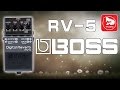 Педаль ефектів BOSS RV-5 Digital Reverb