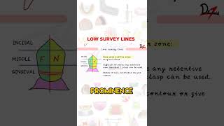 Low Survey Lines