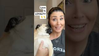He looks at me with pure love #pug #puglife #nurselife #happiness