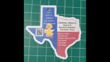 Cutting out Laminated Labels with the ScanNCut DX