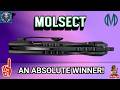 Why Isn't Anyone Talking About Molsect?