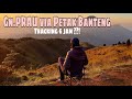 PENDAKIAN GUNUNG PRAU | Review Track : Gunung Prau Via Petak Banteng