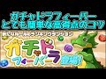 【パズドラ】ガチャドラフィーバー!高得点のコツ解説!!新しいランキングダンジョン!?