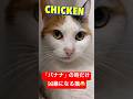 "CHICKEN" 😸or "BANANA"😾