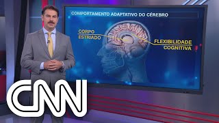 Download Lagu Entenda como a guerra pode provocar traumas e danos à saúde mental - Correspondente Médico MP3