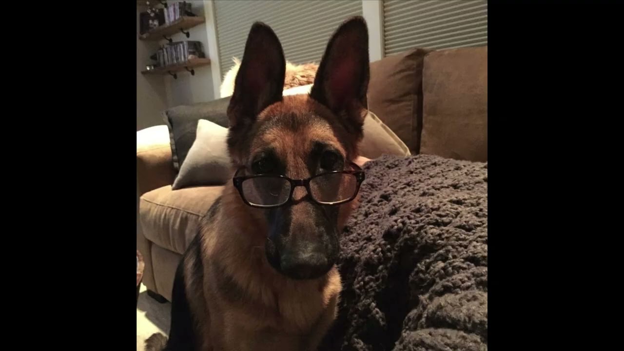 sign crushes motorist indie acoustic guitar no drums type beat