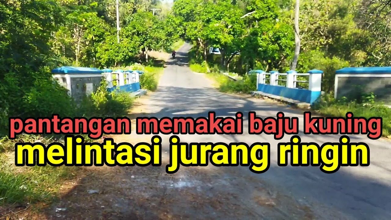 JURANG RINGIN KEC, NGETOS, KAB NGANJUK, PANTANGAN MEMAKAI BAJU KUNING