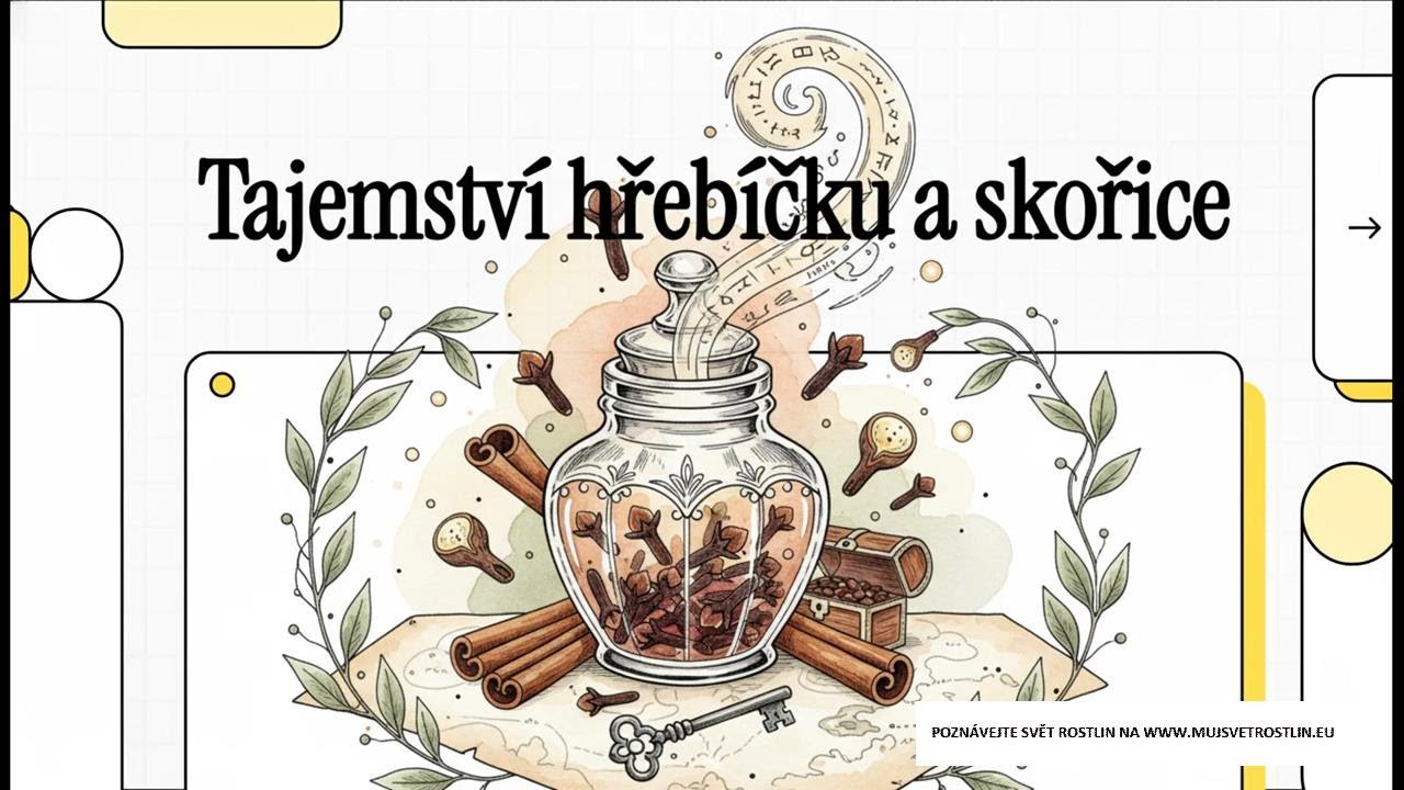 Hřebíček a skořice. Více než jen koření?