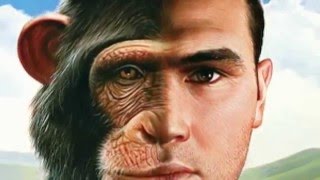 Шимпанзе основали религию Невероятно! Шимпанзе основали религию Невероятно!