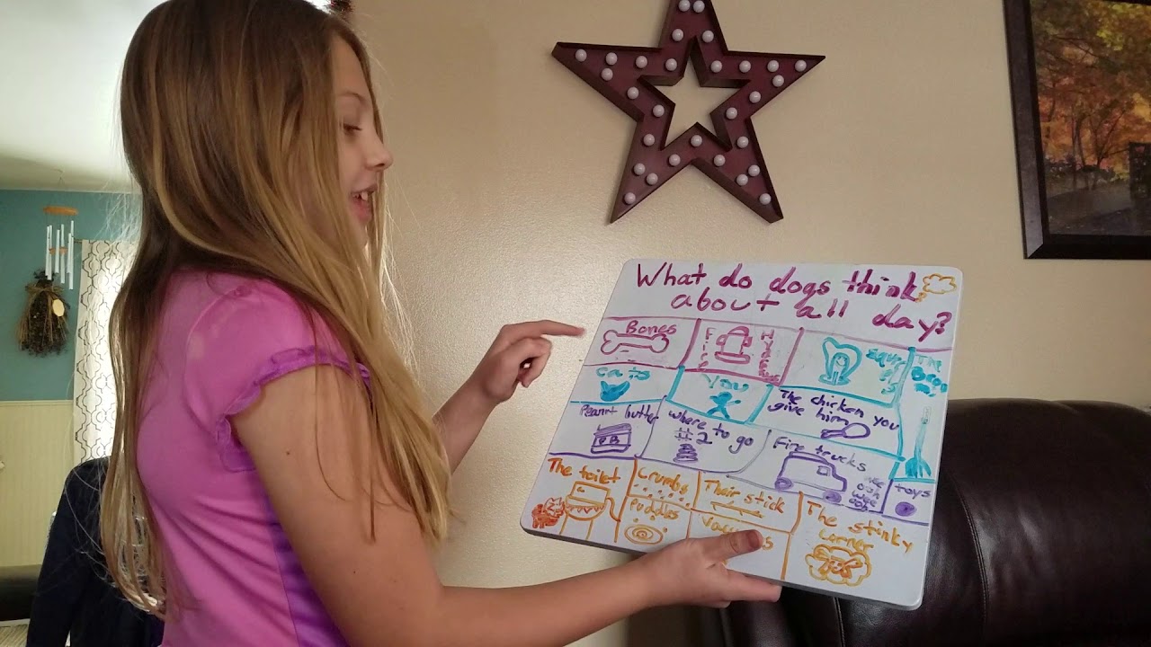 Kelsey's presentation of 'What do dogs think about all day' YouTube