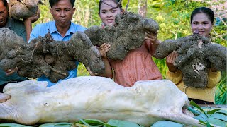Harvesting Biggest Purple Yam Root in Village - Cooking Curry Baby Cow \& Dessert Recipe