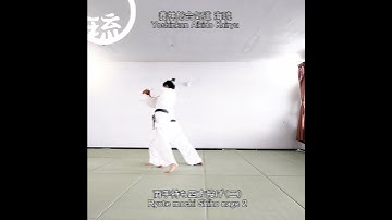 両手持ち四方投げ（二）Ryote mochi Shiho nage 2 #Shorts  #aikido #japan