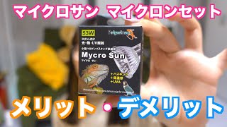 小型ハロゲンUVB保温球「マイクロサン」2週間使ってみてのレビュー！