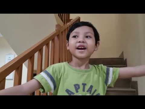 Short Facts about Bird and Polar Bear by Sean (5 years old)