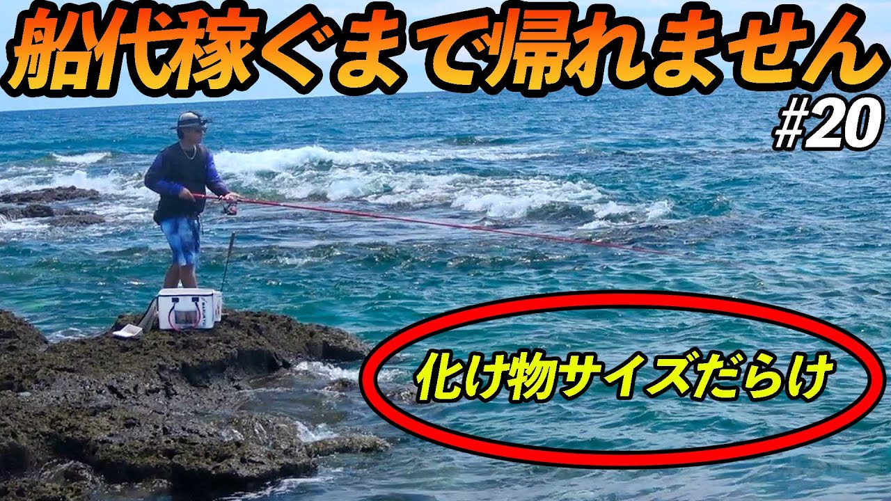 50 山採り　マンサク 50 山採り マンサク 【公式通販】