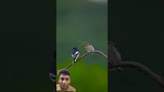 #shortvideo #follower #talented #fotocapcut #treding #viral