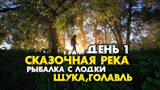 РЫБАЛКА на СКАЗОЧНО КРАСИВОЙ реке Псел.  СПИННИНГ ЩУКА. ГОЛАВЛЬ. СПЛАВ. НОЧЕВКА.