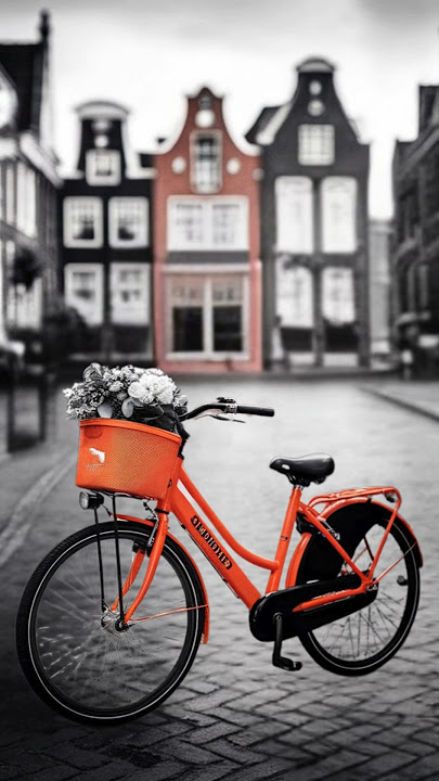 5 Weirdest Dutch Laws You Won't Believe Exist 🇳🇱⚖️