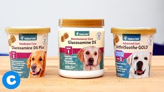 naturvet hip and joint soft chews