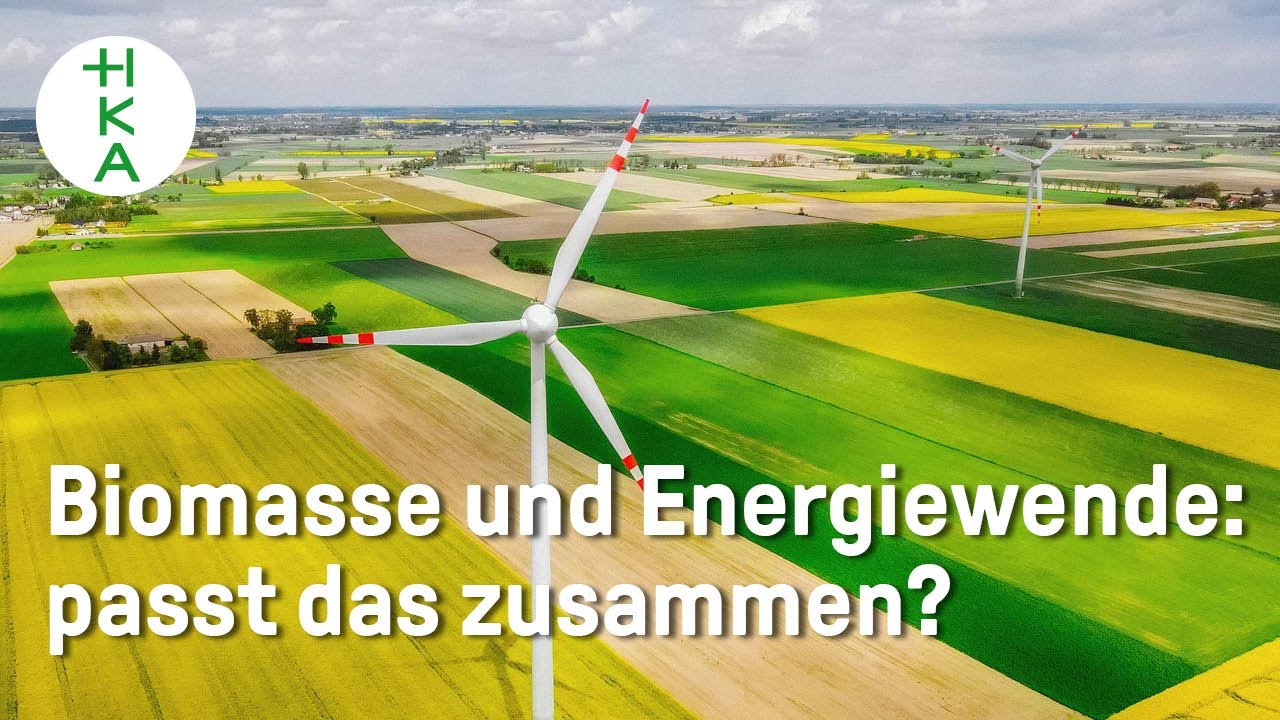 Welche Rolle spielt Bioenergie bei der Energiewende? | Forschung ...