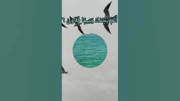 Surah AD-DUHA سورة الضحى #egzonibrahimi