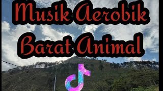 Musik Aerobik Barat Animal 2023 || High Impact