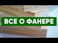 Всё о фанере. Что такое фанера, области её применения, особенности производства. Паркет AnticWood.