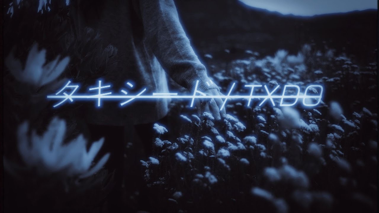 TXDO - FADING OUT (Hardwave)