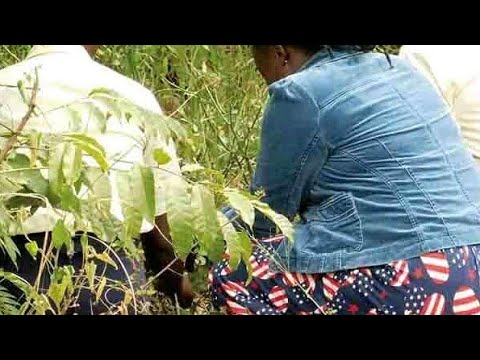 YIGA OKUSIKA ENFULI Enungi BASIKA BATYA ENFULI Okukyalira Ensiko 