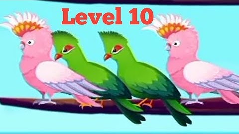 Level 10 | Birds sort