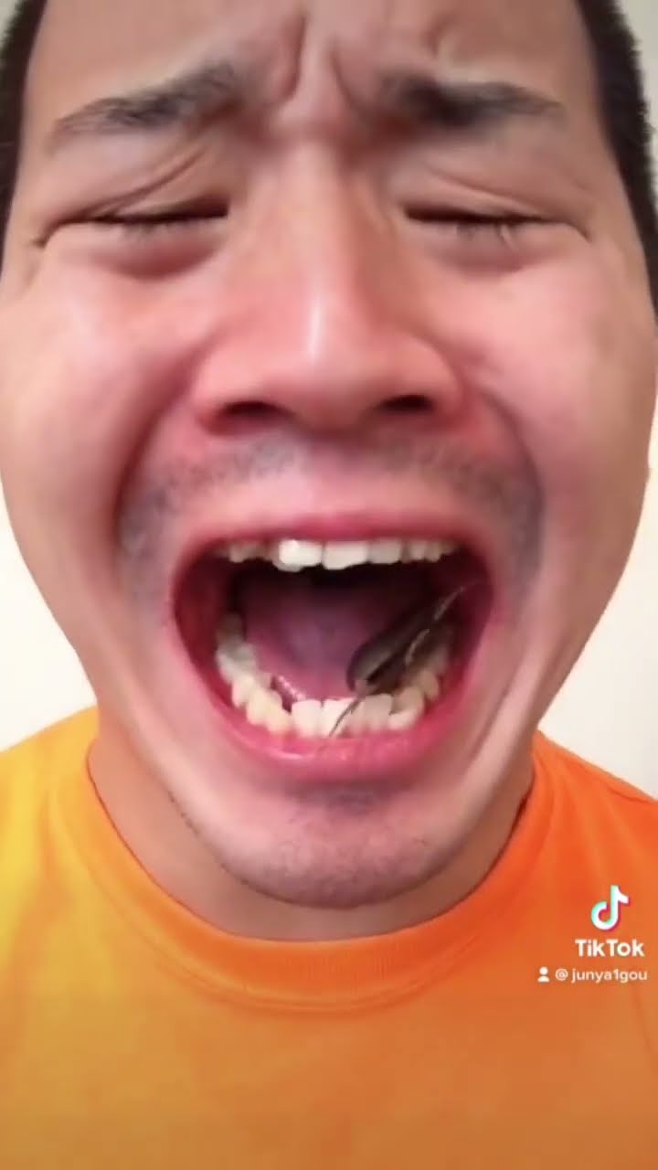 junya1gou funny video ???