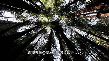 パンドラの約束　予告編