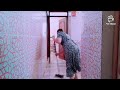 روتين صباحي روعه روعه 