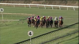 Vidéo de la course PMU PRIX HOLLYWOODBETS BRIGHT FUTURE MR 78 HANDICAP