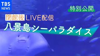 【午後4時半～LIVE予定】横浜・八景島シーパラダイスの魚たち　閉館後の様子を特別公開 /YOKOHAMA HAKKEIJIMA SEA PARADISE, JAPAN（2021年1月15日）