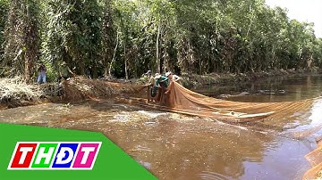 Chụp đìa bắt cá ở rừng U Minh Hạ | THDT