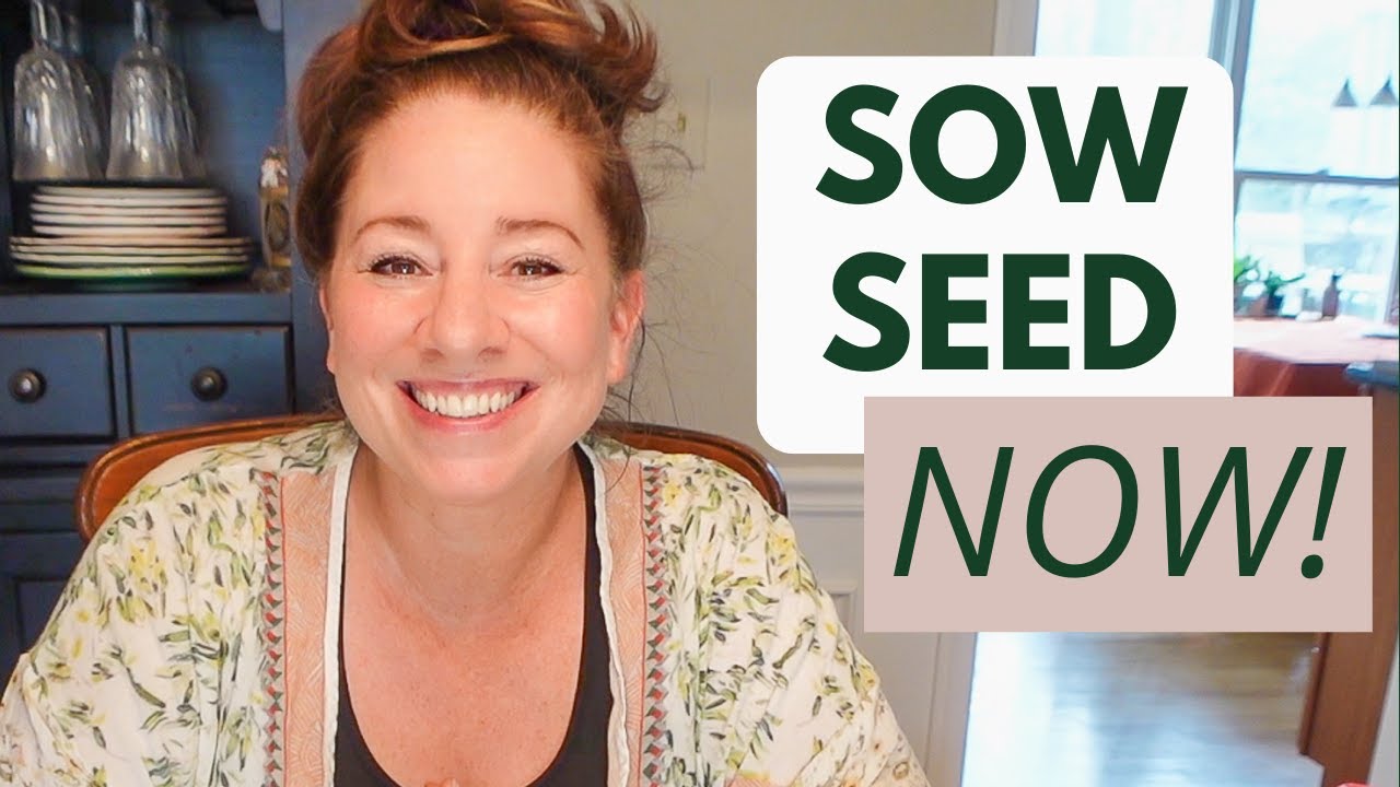 sowing-native-plant-seeds-in-the-fall-for-spring-plants-growing