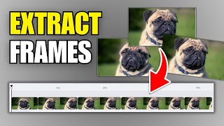 How To Extract Frames From a Video In High Quality screenshot 4