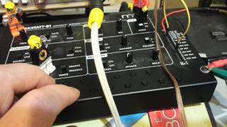 Moog Werkstatt with two extra oscillators