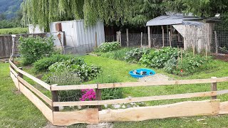 Garden fence/ duck pen build- the tiniest hobby farm.