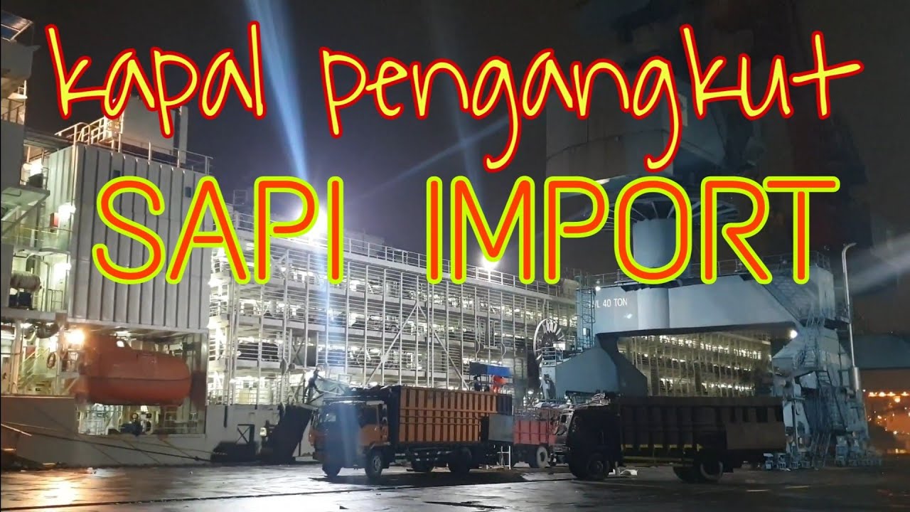 KAPAL PENGANGKUT RIBUAN SAPI || JAWAN PANAMA || PELABUHAN TANJUNG PRIUK || JAKARTA