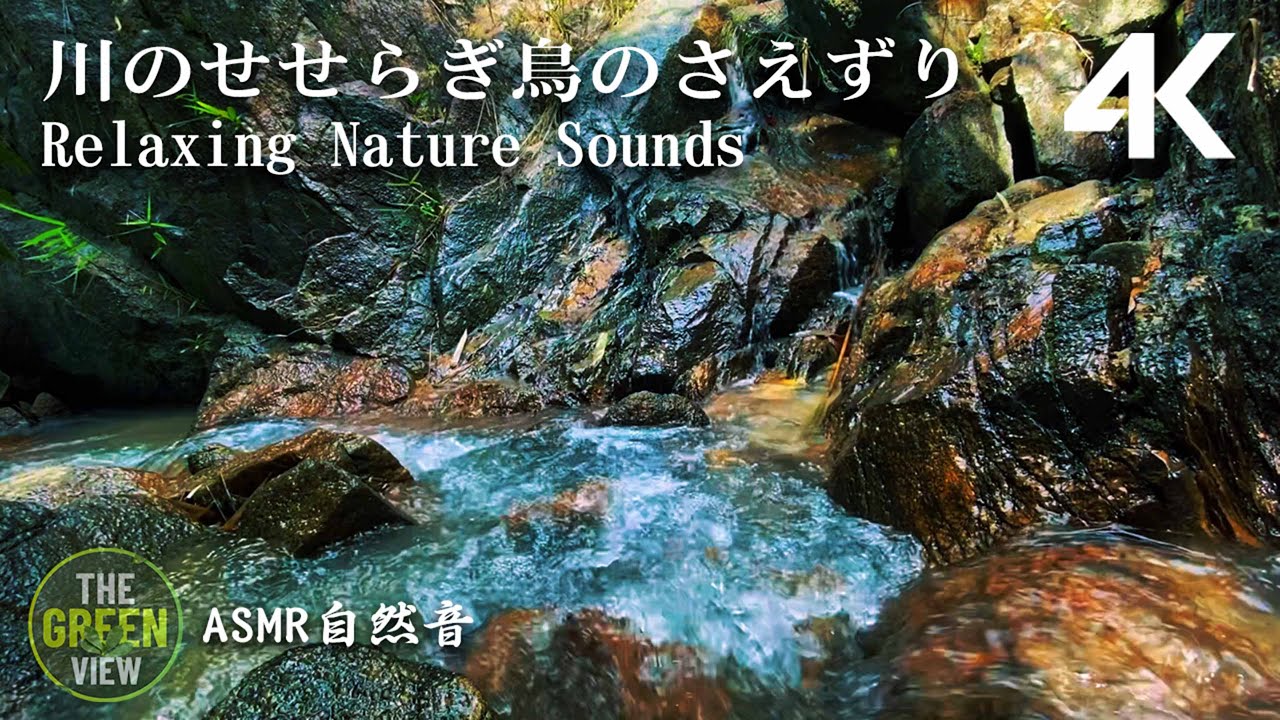 【自然音】新緑と渓谷(川のせせらぎ・鳥のさえずり)|睡眠・勉強・作業用BGM・リラックス・瞑想|ASMR Nature Sounds ...