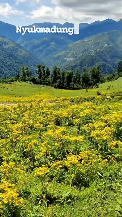 Arunachal Pradesh India
